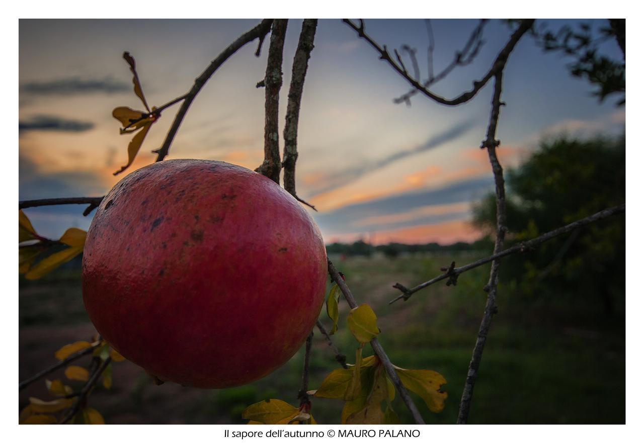 Tenuta Kyrios Borgagne Bagian luar foto