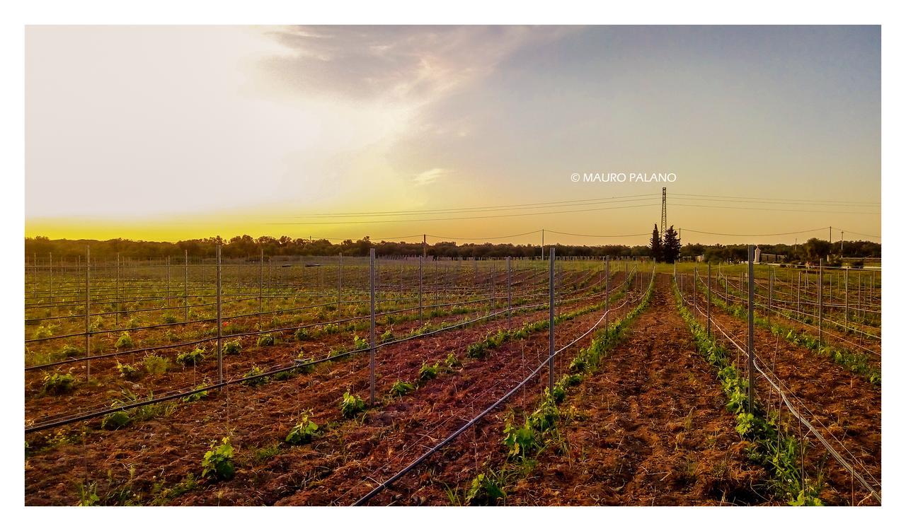 Tenuta Kyrios Borgagne Bagian luar foto