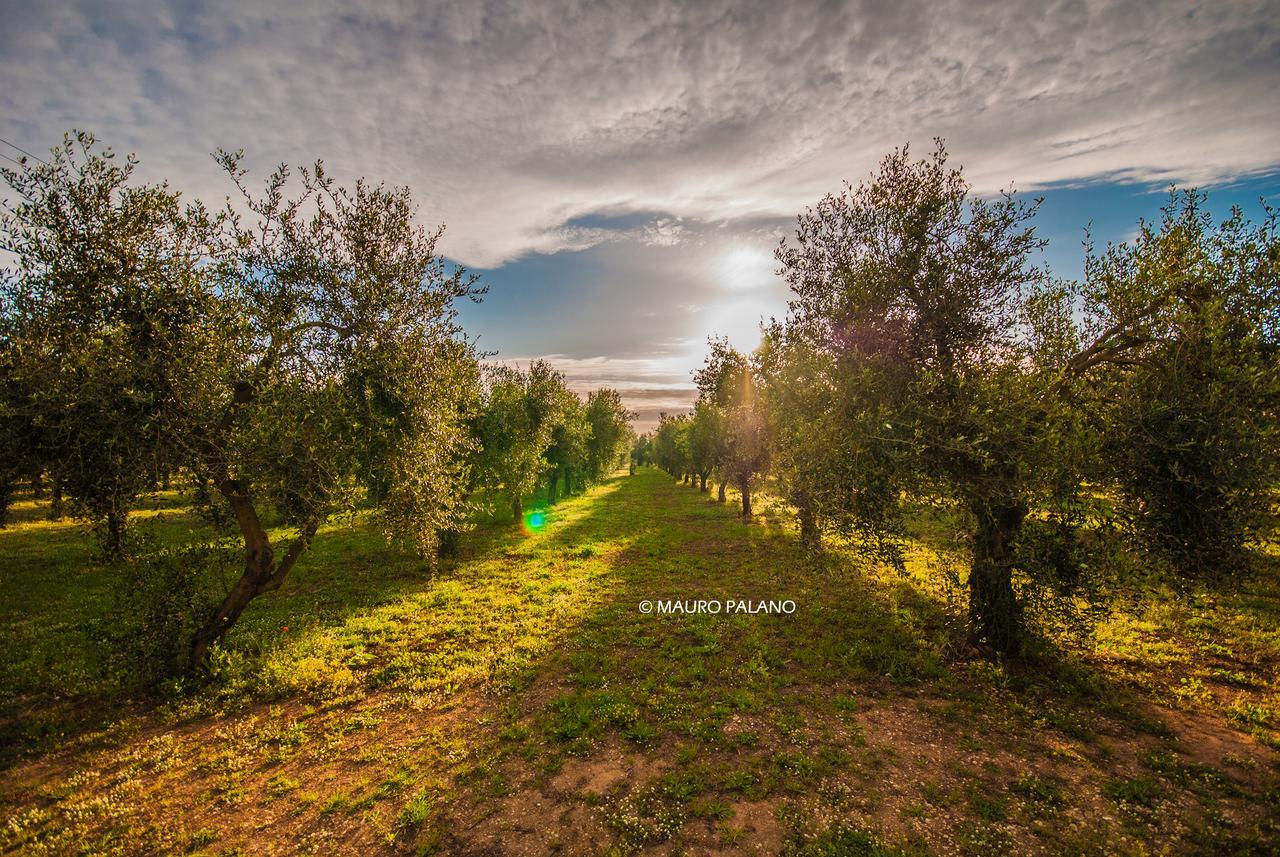 Tenuta Kyrios Borgagne Bagian luar foto