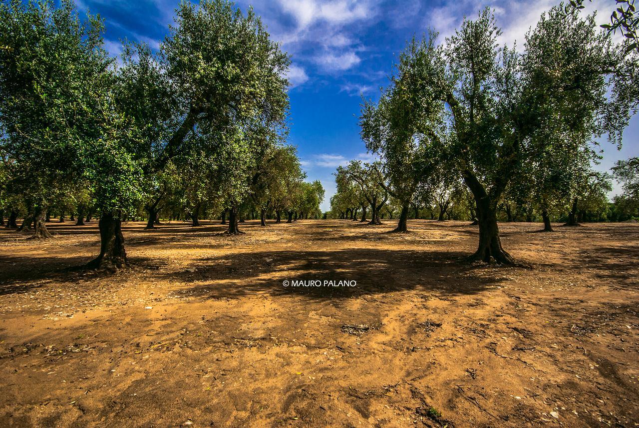 Tenuta Kyrios Borgagne Bagian luar foto