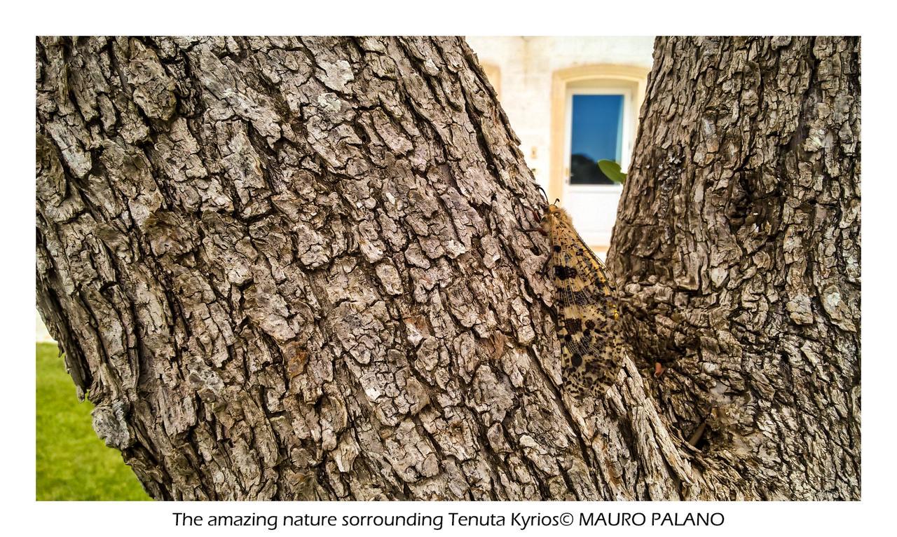 Tenuta Kyrios Borgagne Bagian luar foto