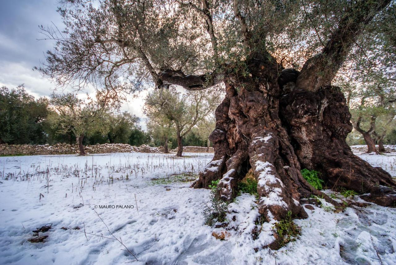 Tenuta Kyrios Borgagne Bagian luar foto