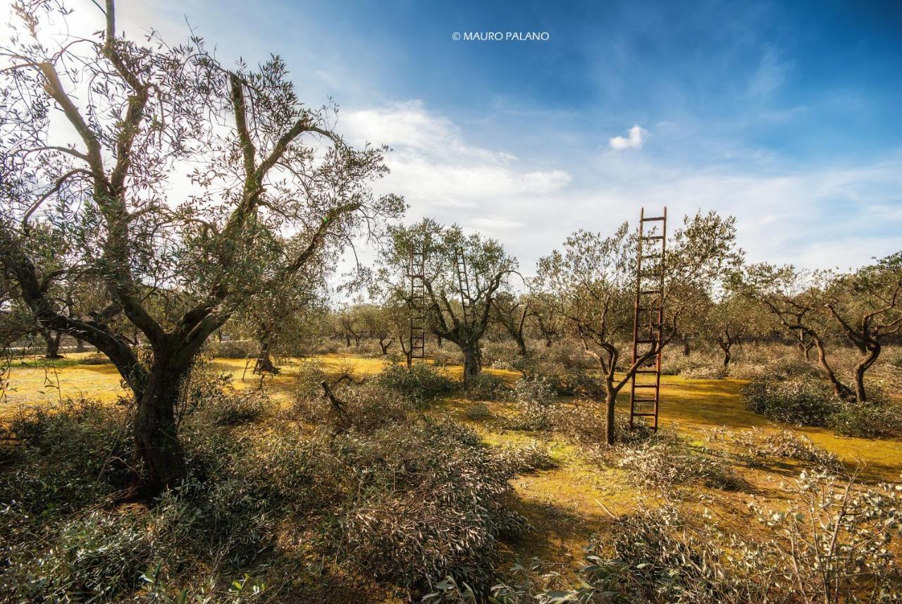 Tenuta Kyrios Borgagne Bagian luar foto