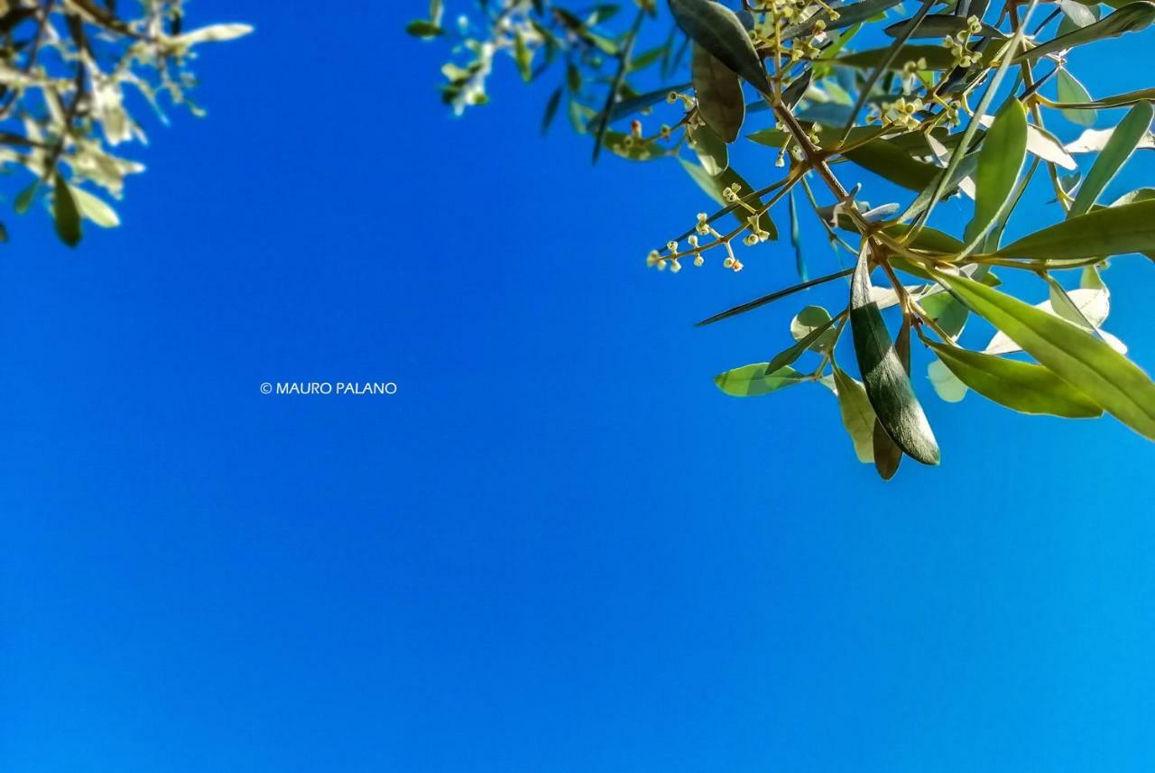 Tenuta Kyrios Borgagne Bagian luar foto